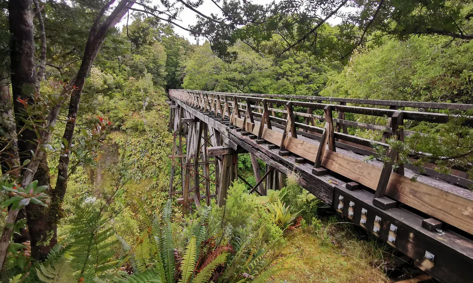 Hump Ridge Track, Southland
