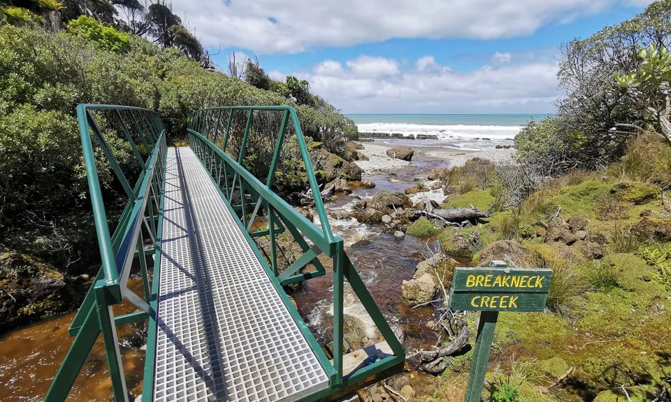Hump Ridge Track, Southland