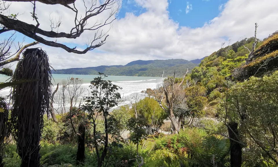 Hump Ridge Track, Southland