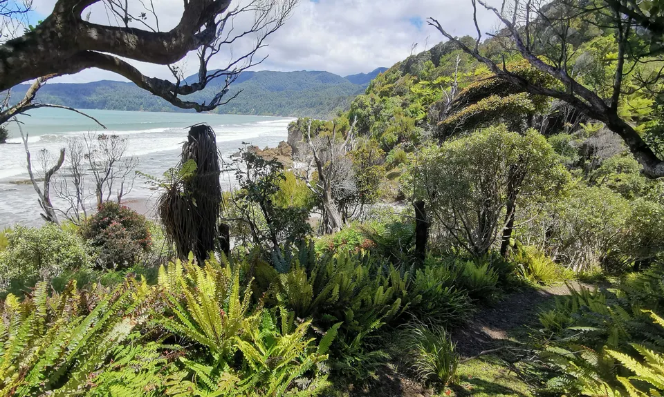 Hump Ridge Track, Southland