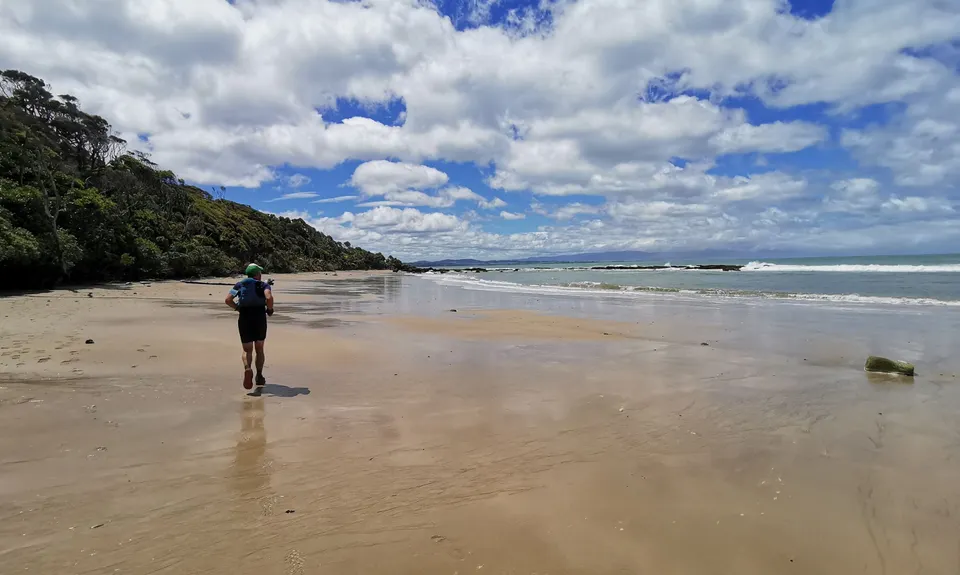 Hump Ridge Track, Southland