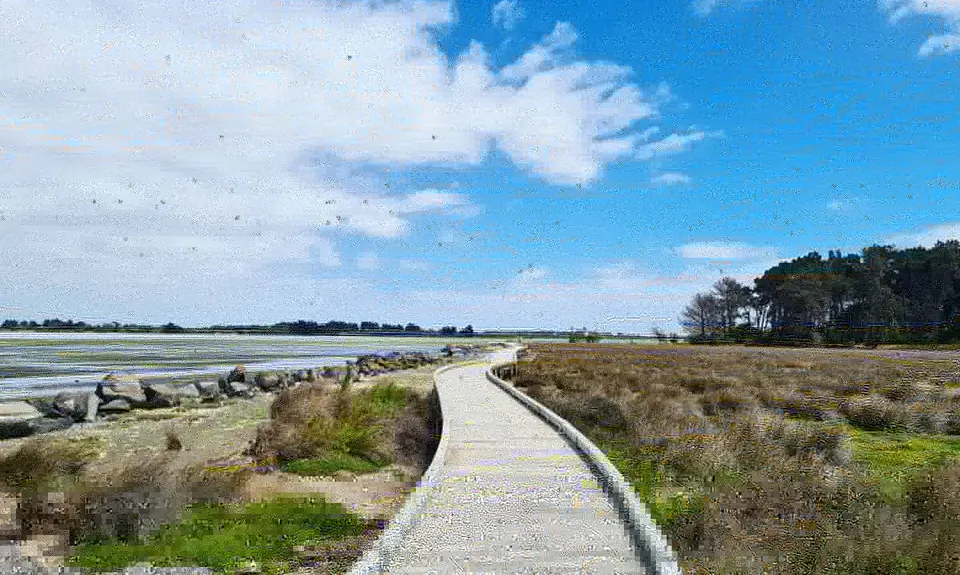 Spitting Distance, Canterbury