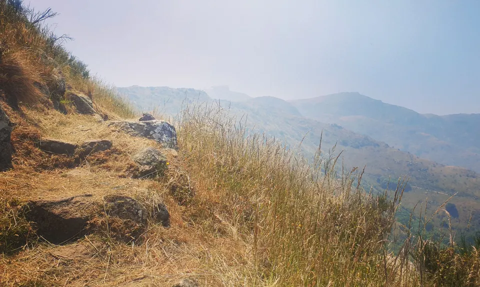 The Pipeline of Pain, Canterbury
