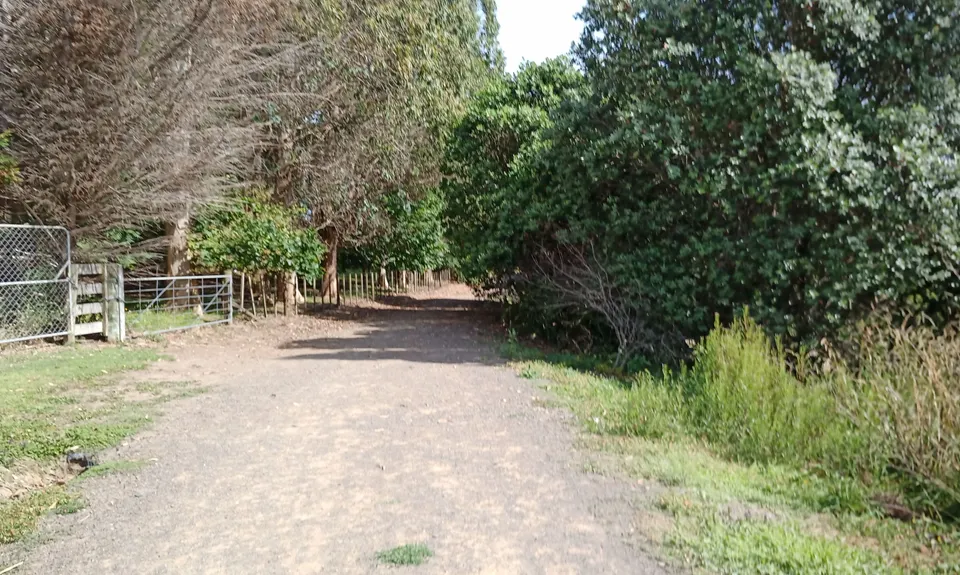 Whitford Coastal Trail Loop , Auckland