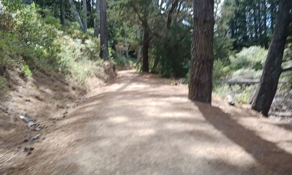 Whitford Coastal Trail Loop , Auckland