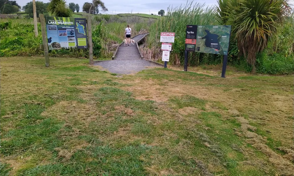 Lake Ngaroto, Waikato