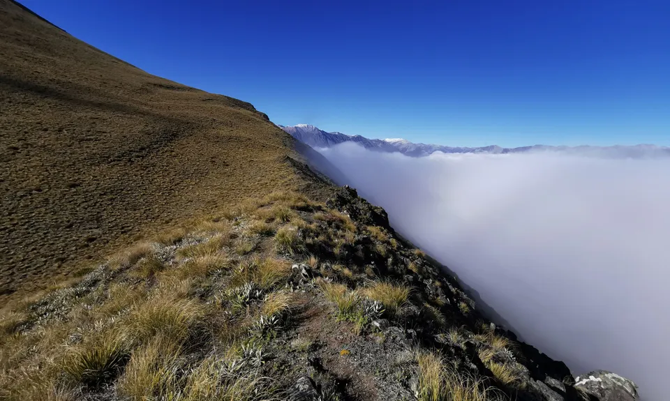 Looping Mt Harper , Canterbury