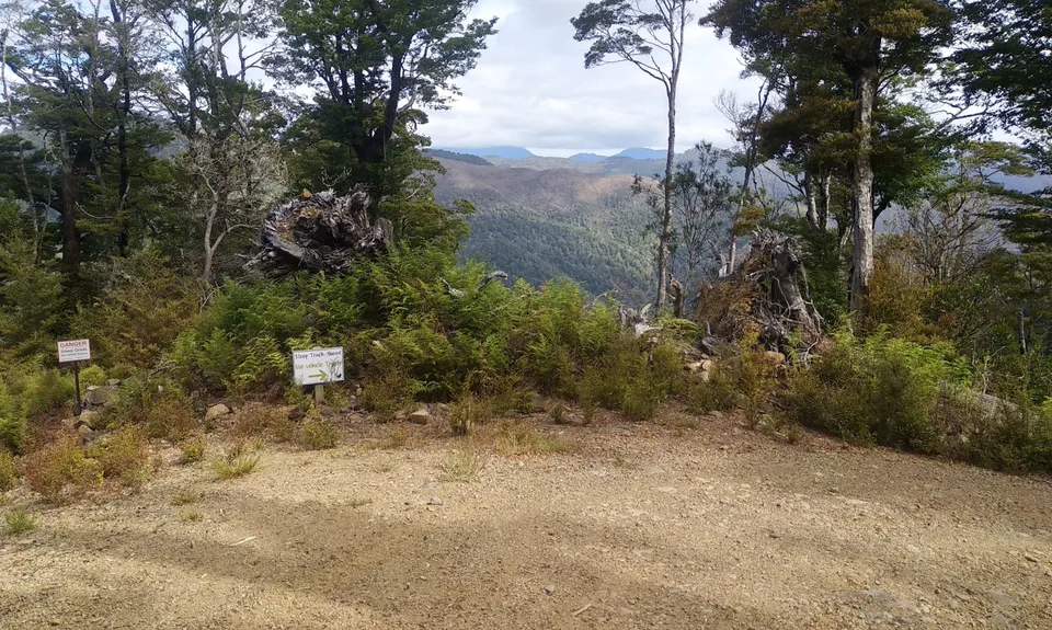 The Brook Fenceline, Nelson