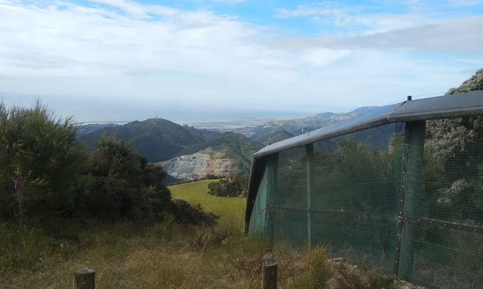 The Brook Fenceline, Nelson