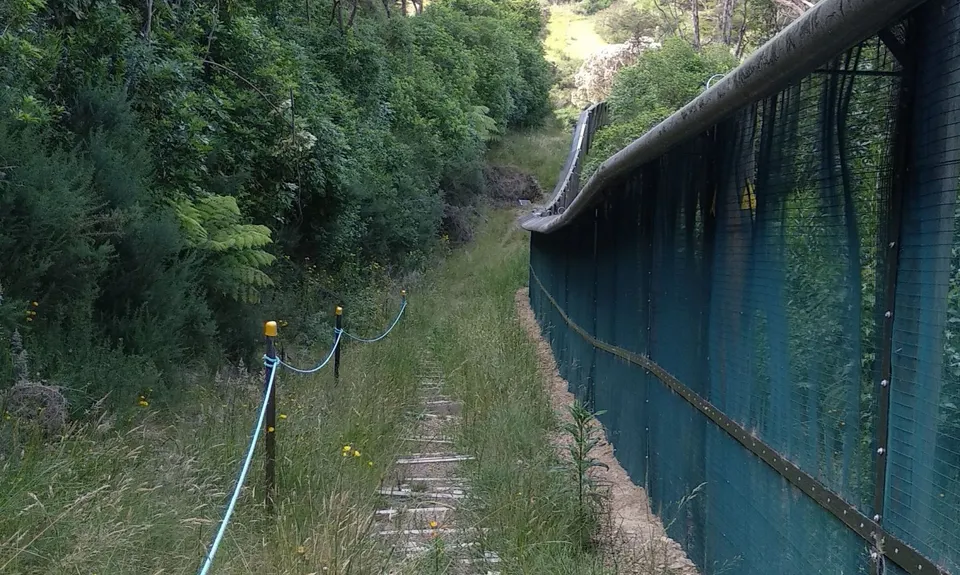 The Brook Fenceline, Nelson