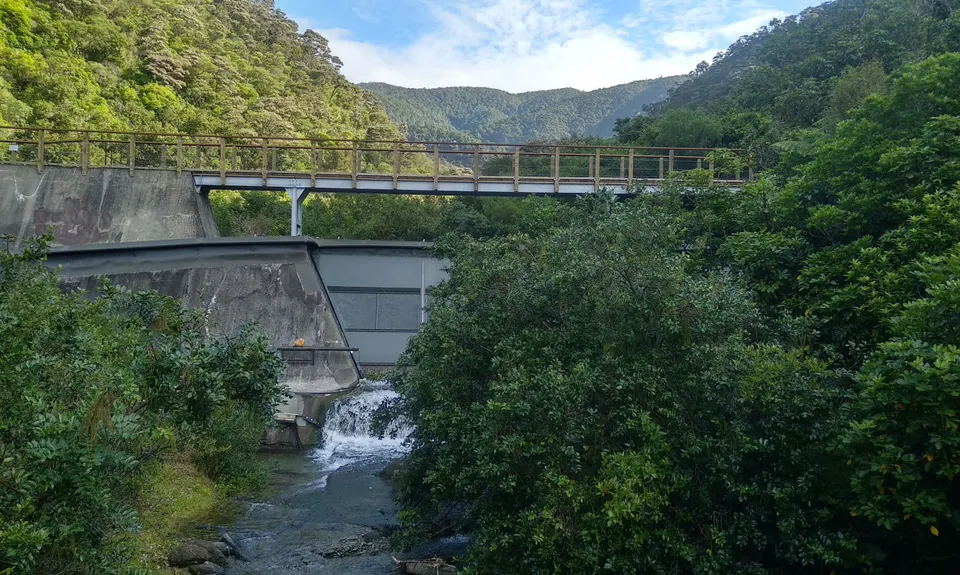 The Brook Fenceline, Nelson