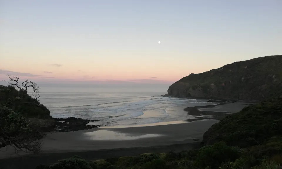 Te Henga Trail, Auckland