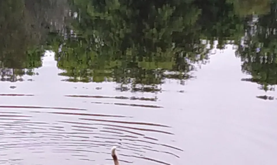 Lake D Dash, Waikato