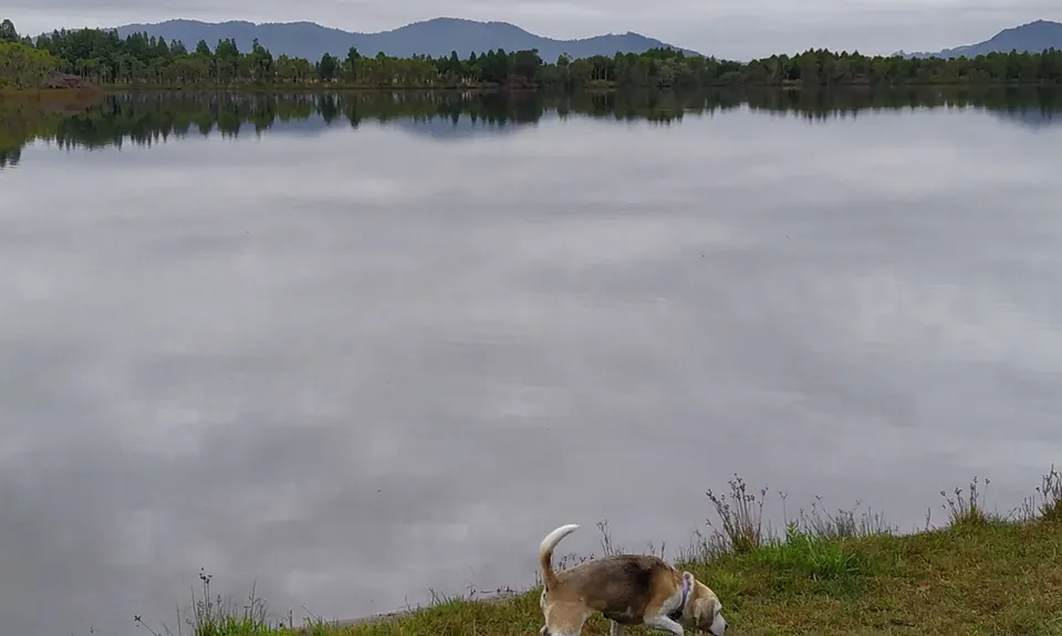 Lake D Dash, Waikato