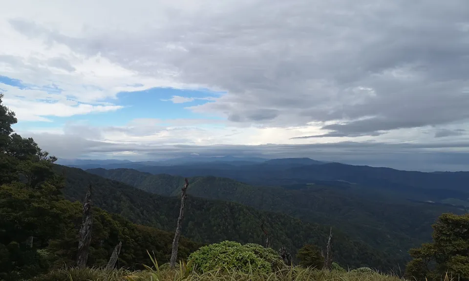 Big Circuit Run, Wellington