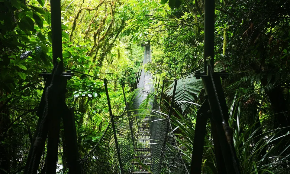 Big Circuit Run, Wellington