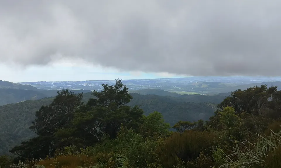 Big Circuit Run, Wellington