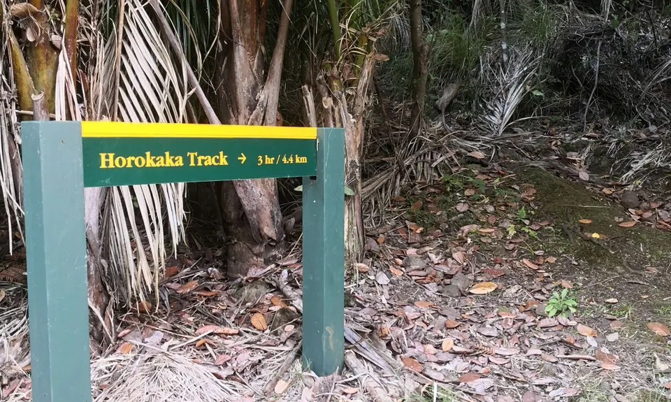 Tangihua Transmitter Loop, Northland
