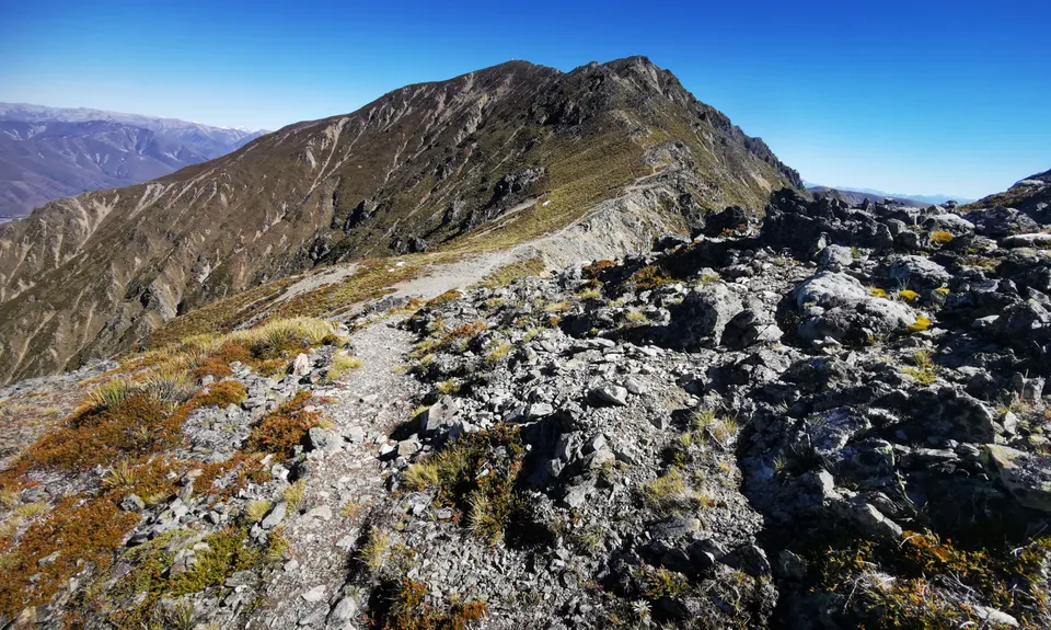 Big Mt Peel, Canterbury