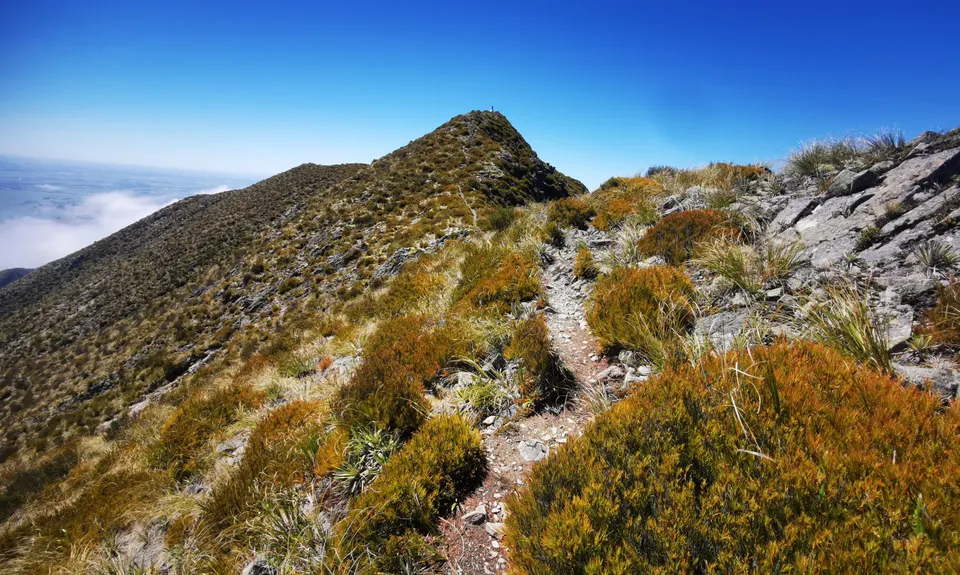 Big Mt Peel, Canterbury