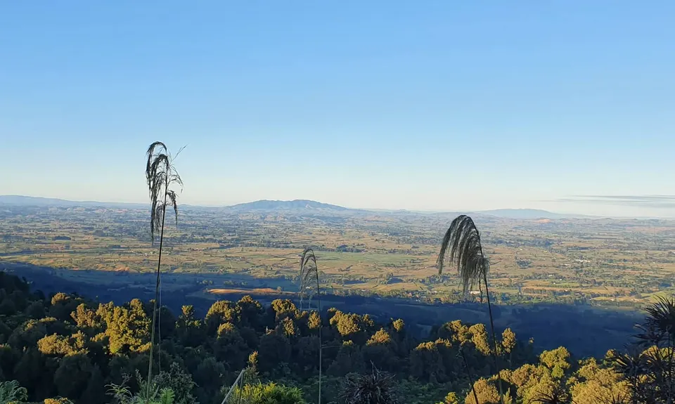 Kaimai South Side To Hurunui Hut, Waikato