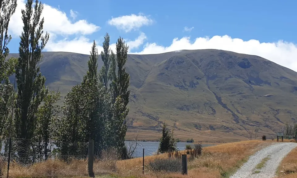 Mt Guy, Canterbury
