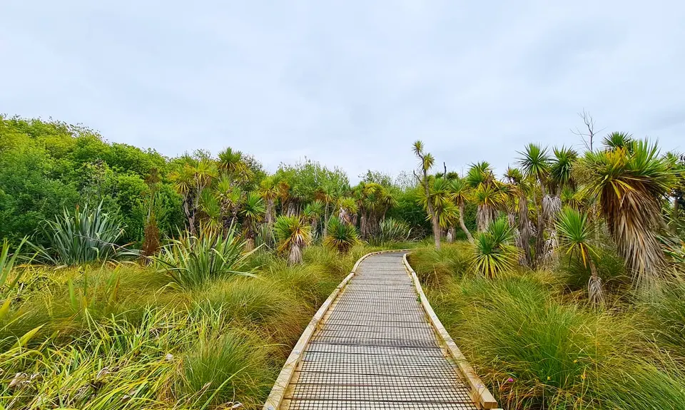 Travis Wetland Loop, Canterbury