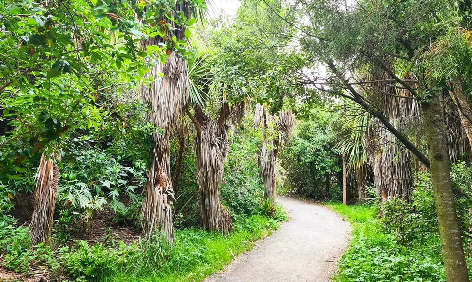 Travis Wetland Loop, Canterbury