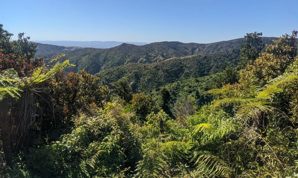Arawaru Trig Loop, Manawatu - Wanganui