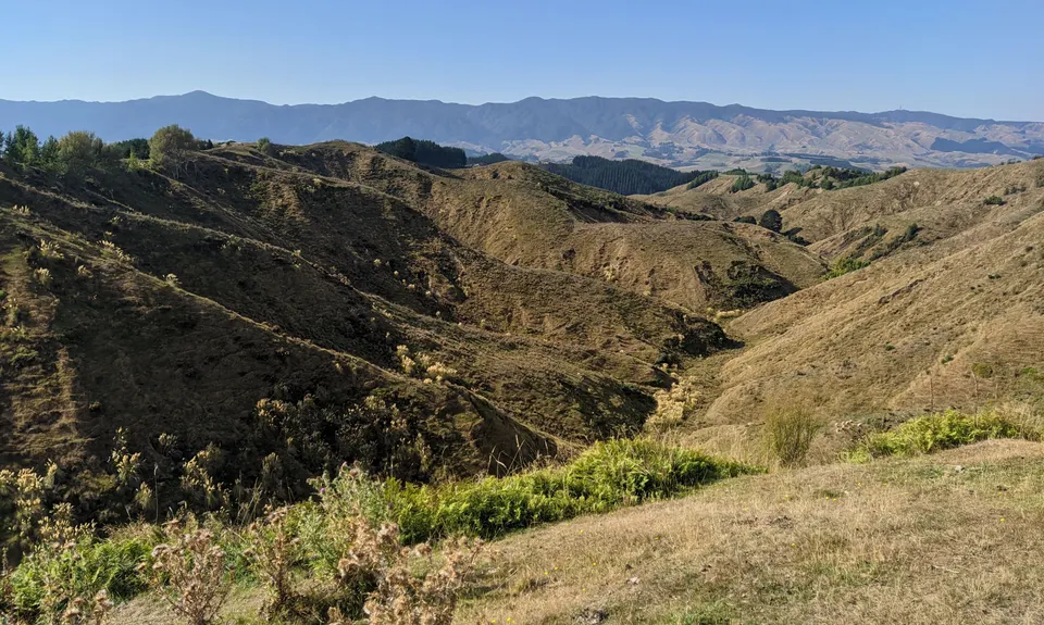 Bushy Breathtaking Branch Rd, Manawatu - Wanganui