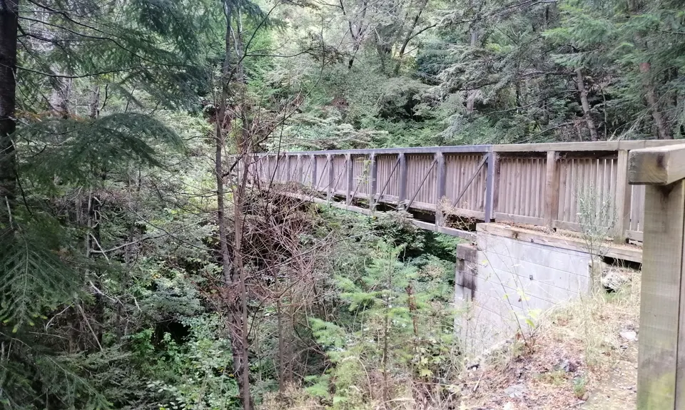 Fernhill Loop, Otago