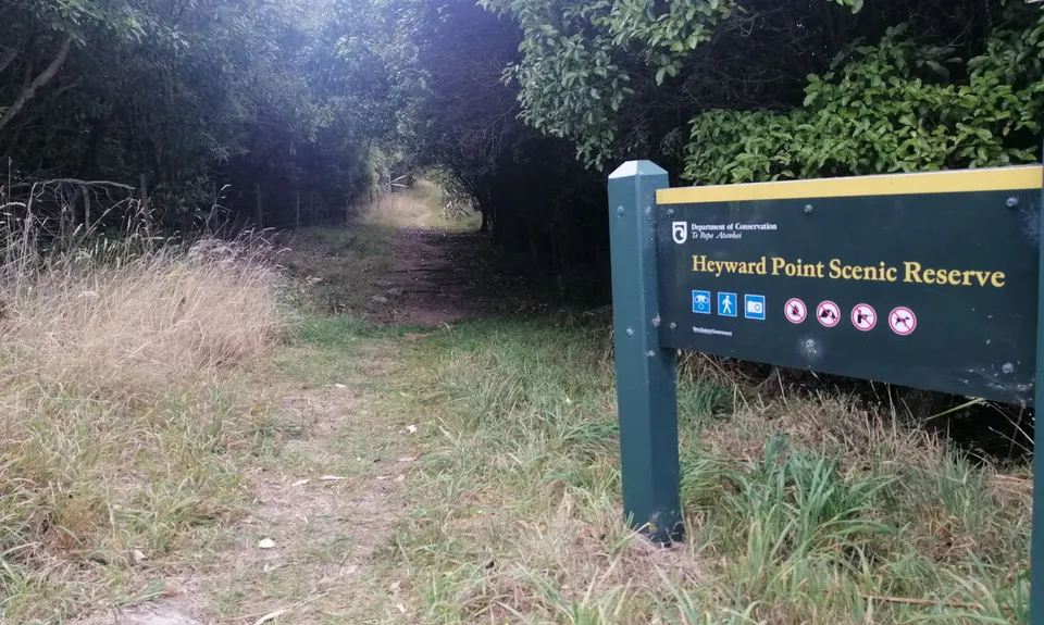 Heyward Point, Otago