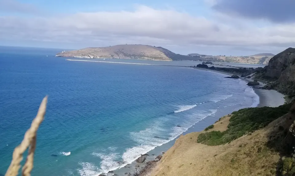 Heyward Point, Otago