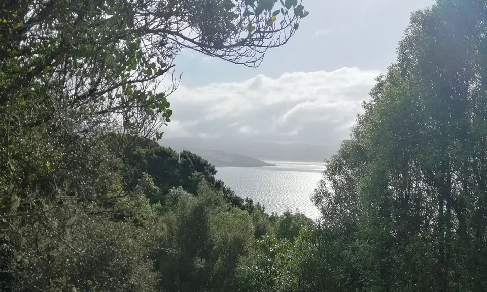 Heyward Point, Otago