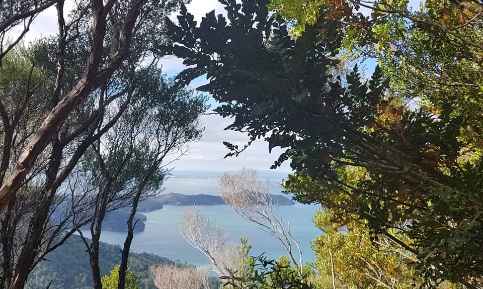 Karamatura Loop, Auckland
