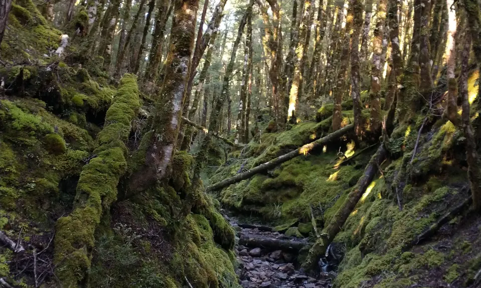 Waiuta Ghost Town, West Coast