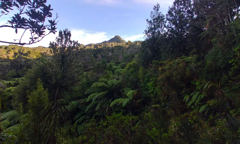 Crosbies Hut via Karaka Track , Waikato
