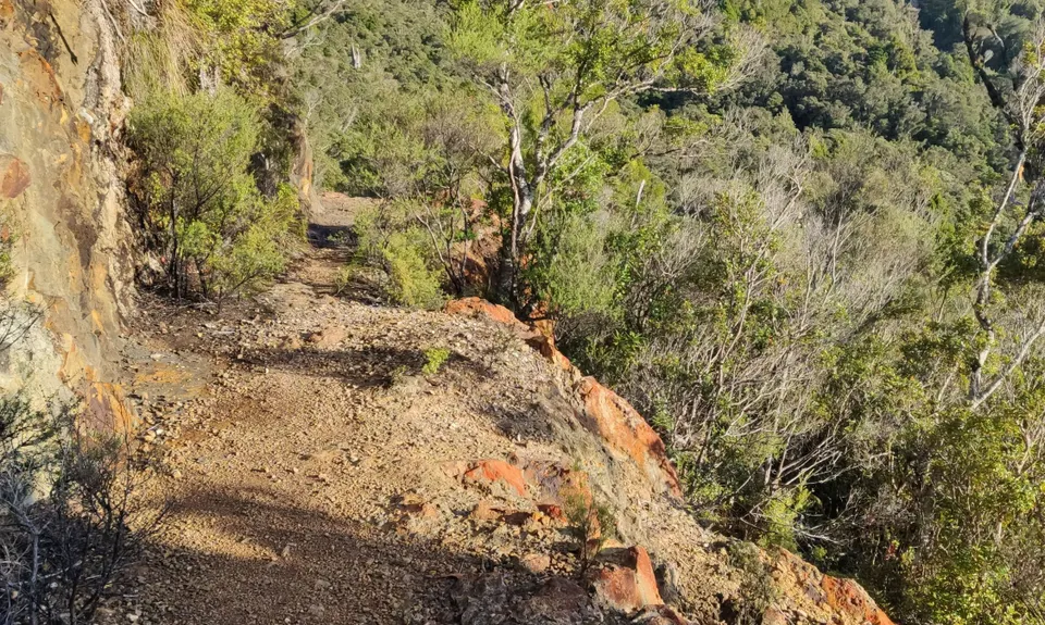 Crosbies Hut via Karaka Track , Waikato
