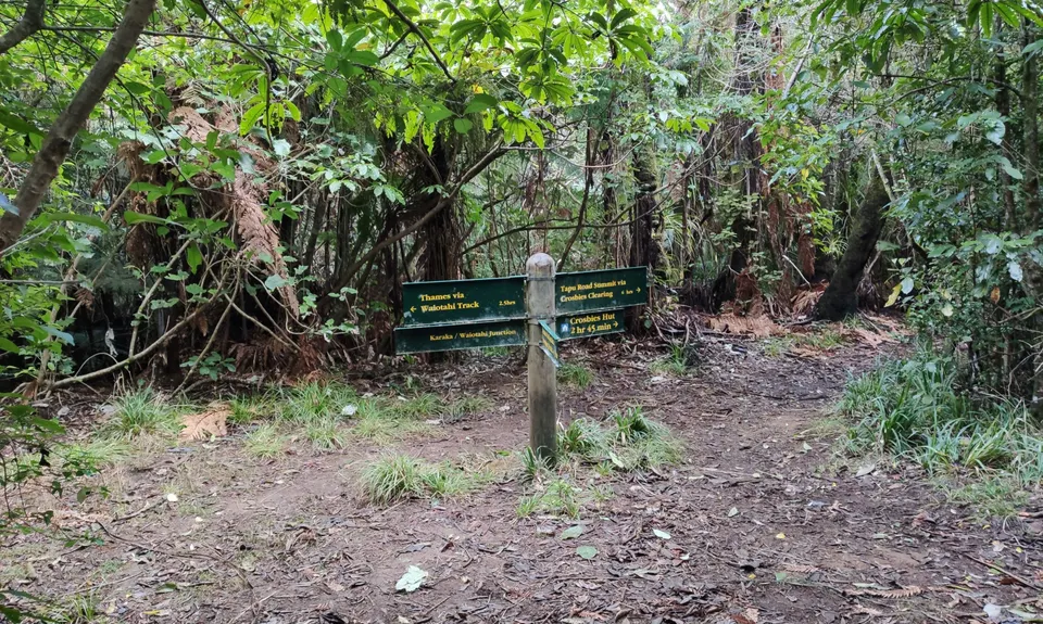 Crosbies Hut via Karaka Track , Waikato
