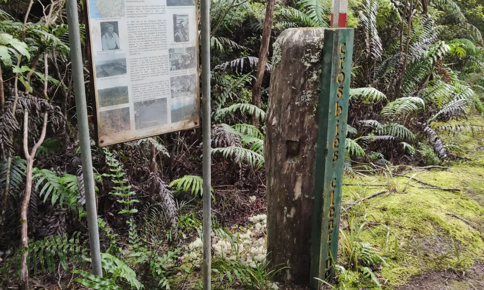 Crosbies Hut via Waiomu Track , Waikato