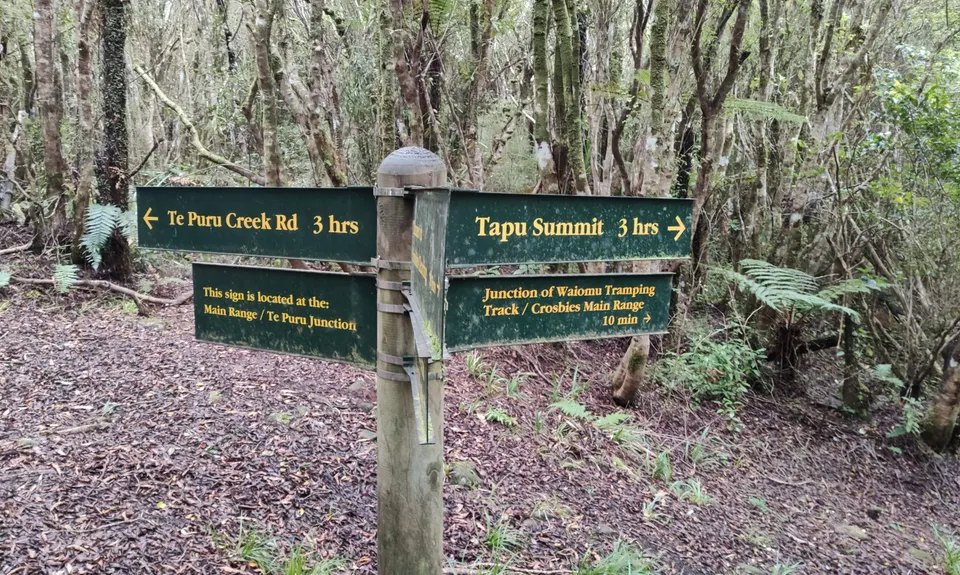 Crosbies Hut via Waiomu Track , Waikato