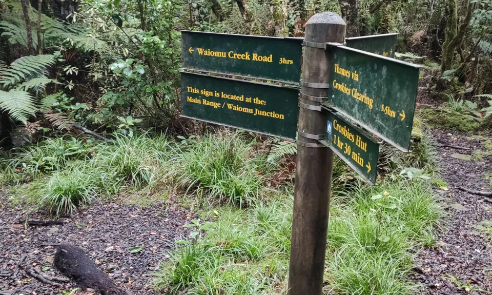 Crosbies Hut via Waiomu Track , Waikato
