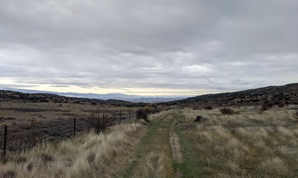 Shakey Loop, Otago