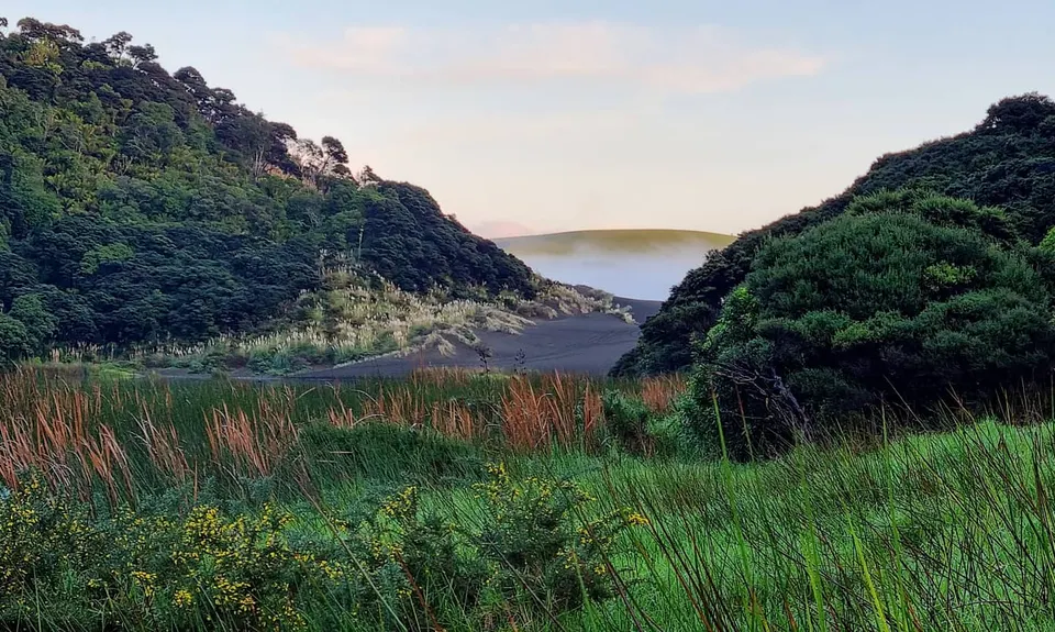 Lake Wainamu Loop, Auckland