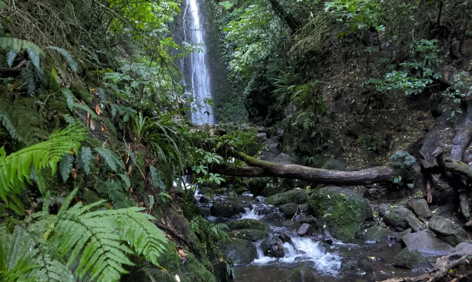 Nichols Fall Loop, Otago