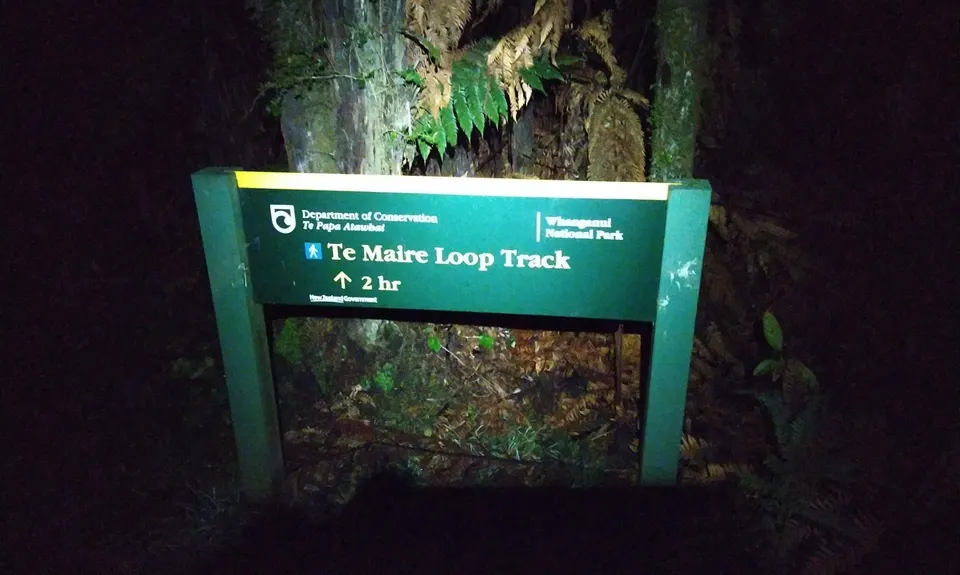 Te Maire Track, Manawatu - Wanganui