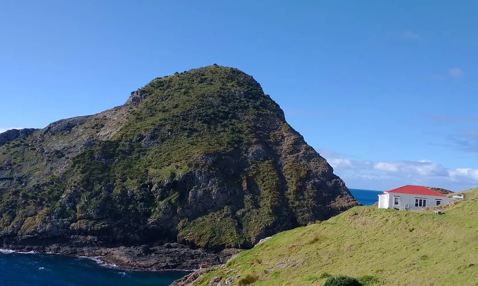 Cape Brett Canter, Northland
