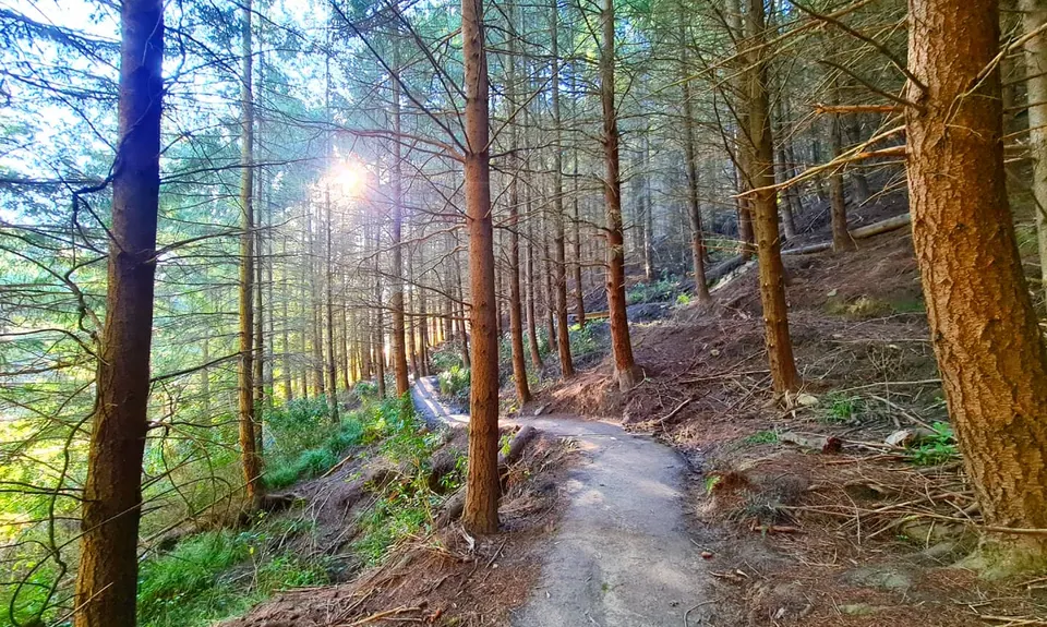 Beginner's Adventure Park Loop, Canterbury