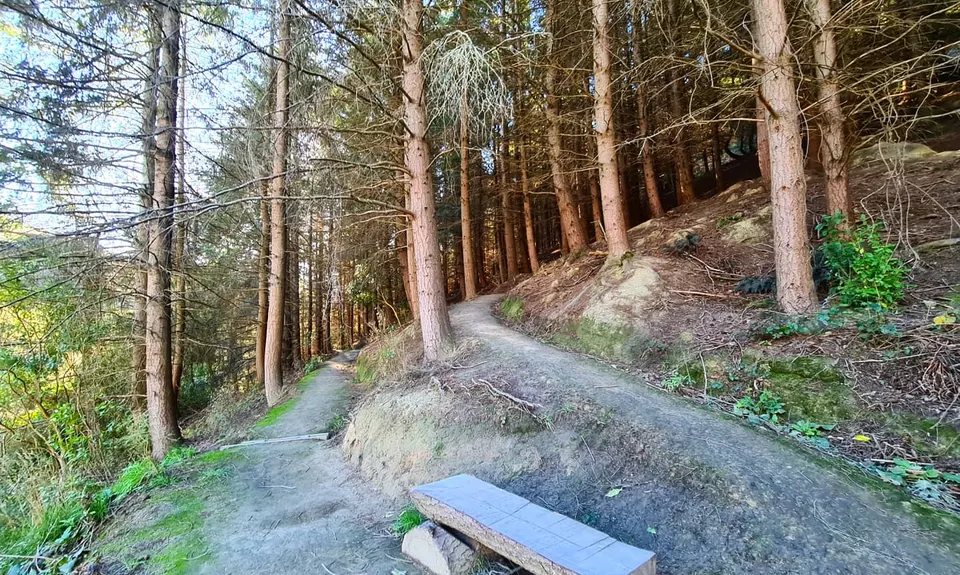 Beginner's Adventure Park Loop, Canterbury