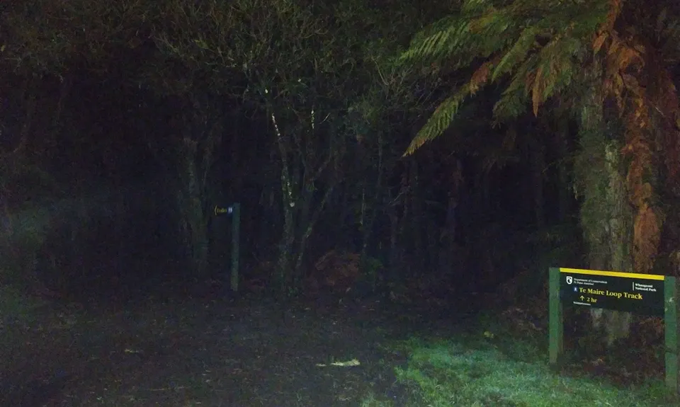 Te Maire Track, Manawatu - Wanganui